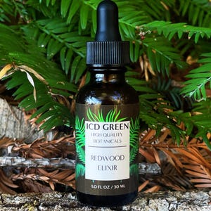 Wildcrafted Redwood Needle Elixir: Lung Support with Honey