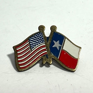 USA American Flag State of Texas Friendship Unity Lapel Pin