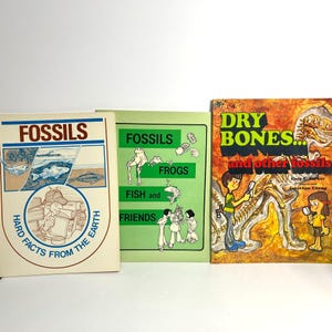 Fossils and Paleontology Books for Kids Set of 3 Christian Homeschool