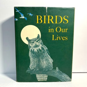 Birds In Our Lives US Department of Interior Alfred Stefferud 1966
