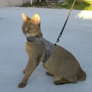 SafetyKatz Walking Jacket Starry Nights Print Custom Made Cat Reversible Harness Vest Collar Kitten Kitty image 8