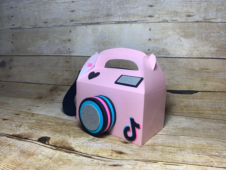 Tiktok Camera Box / Light Pink Camera Box Etsy