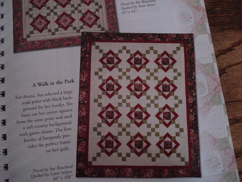 Quilts Through the Seasons by Quilt in a Day Eleanor Burns Etsy