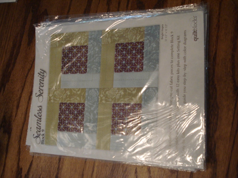 Joann Fabric Quilt blocks of the Month Seamless Serenity image 2