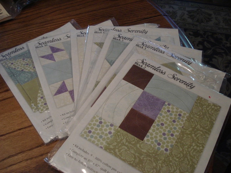 Joann Fabric Quilt blocks of the Month Seamless Serenity image 1