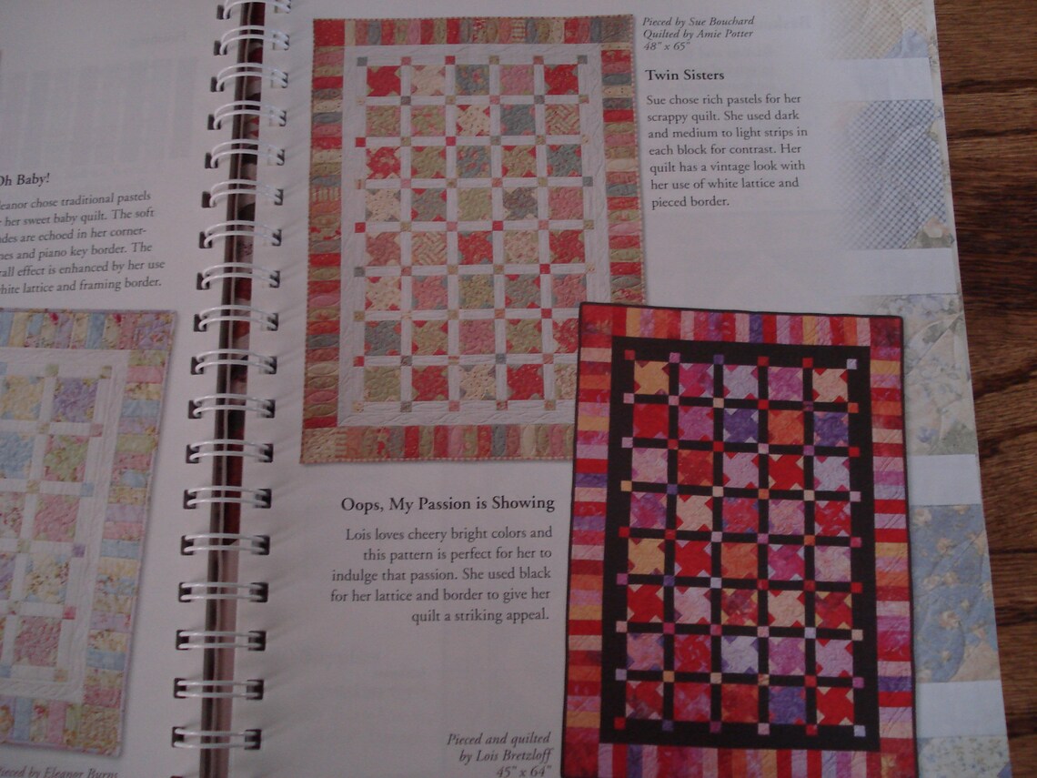 Quilts Through the Seasons by Quilt in a Day Eleanor Burns Etsy