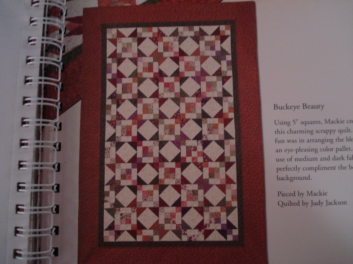 Quilts Through the Seasons by Quilt in a Day Eleanor Burns Etsy