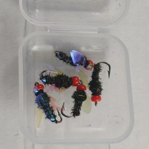 May include: A clear plastic container holding several artificial fishing flies. The flies have black bodies, red beads, iridescent wings, and curved hooks. The container is open, revealing the contents.