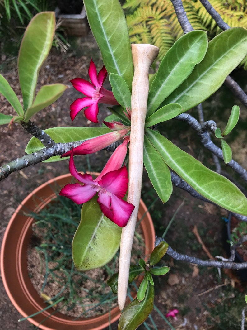 Handcrafted Maple Wood Hair Stick Made In Hawaii