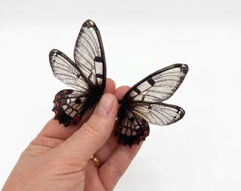 OOAK beautiful handmade glittery transparent fairy mermaid art doll butterfly dragonfly wings Z16