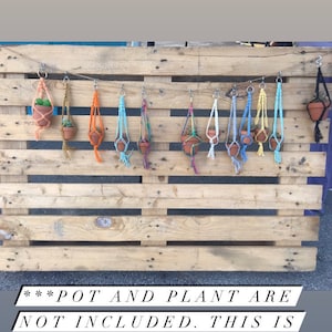 Mini Macrame Plant Hanger