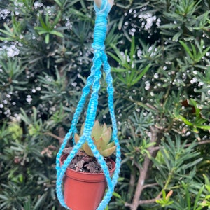 May include: A small succulent plant in a terracotta pot hanging from a blue macrame plant hanger.