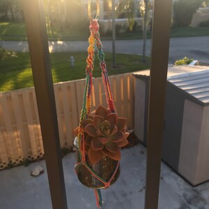 May include: A succulent plant in a glass jar hanging from a colorful macrame plant hanger. The hanger is attached to a metal hook.