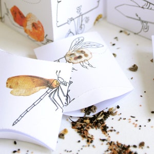 Printable Seed Packet | DIY Gift Box for Gardeners | INSTANT Download image 3