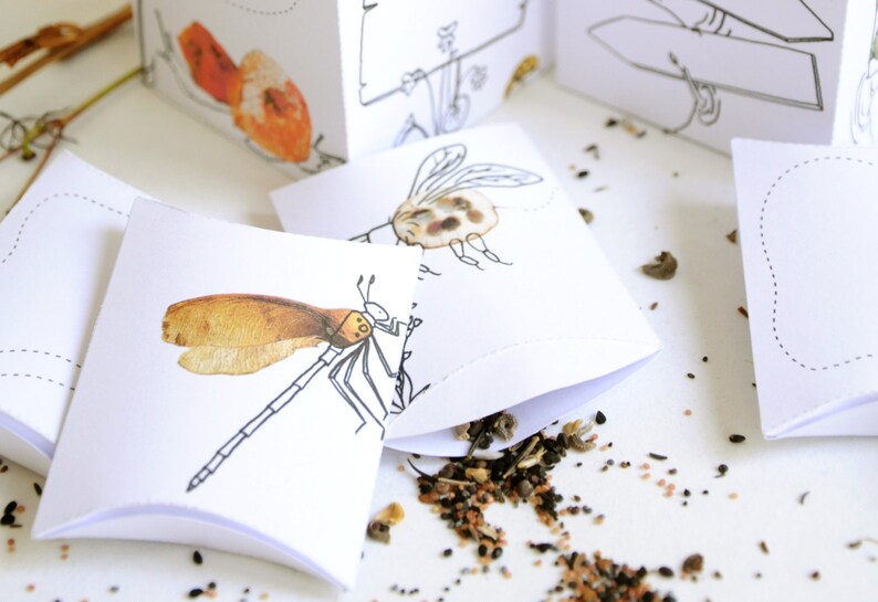 Printable Seed Packet | DIY Gift Box for Gardeners | INSTANT Download image 3