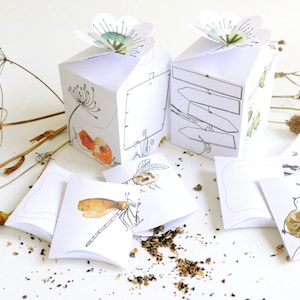 Printable Seed Packet | DIY Gift Box for Gardeners | INSTANT Download image 2