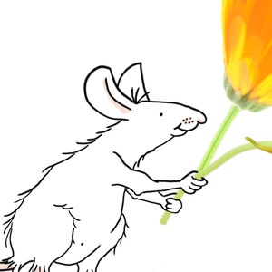 May include: A white mouse holding a single orange flower with green stems.