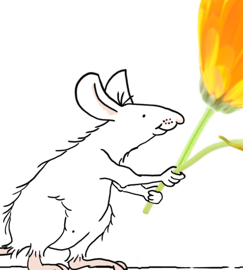 May include: A white mouse holding a single orange flower with green stems.