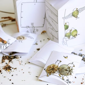 Printable Seed Packet | DIY Gift Box for Gardeners | INSTANT Download image 4