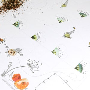 Printable Seed Packet | DIY Gift Box for Gardeners | INSTANT Download image 5