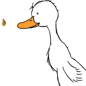 May include: A white duck with an orange beak looking to the left at a small yellow and black ladybug.