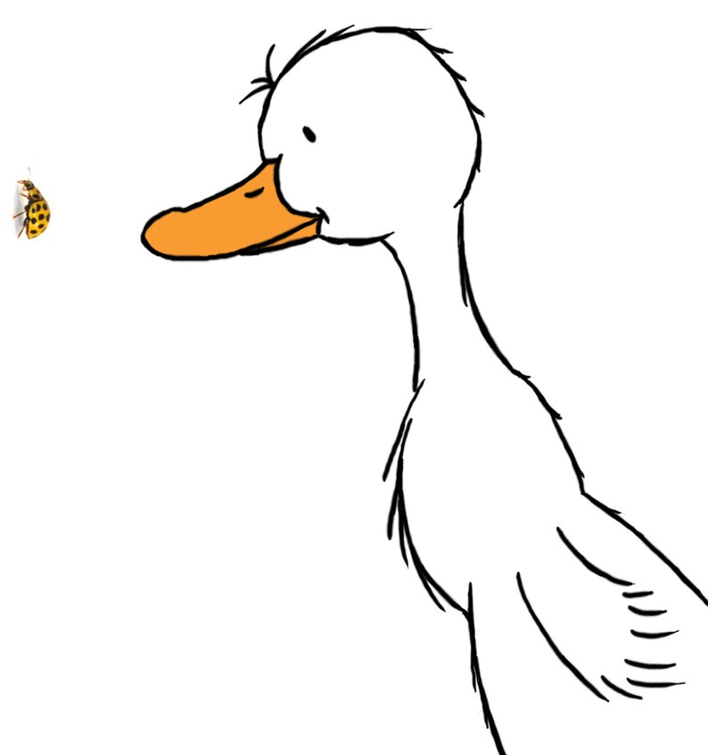 May include: A white duck with an orange beak looking to the left at a small yellow and black ladybug.