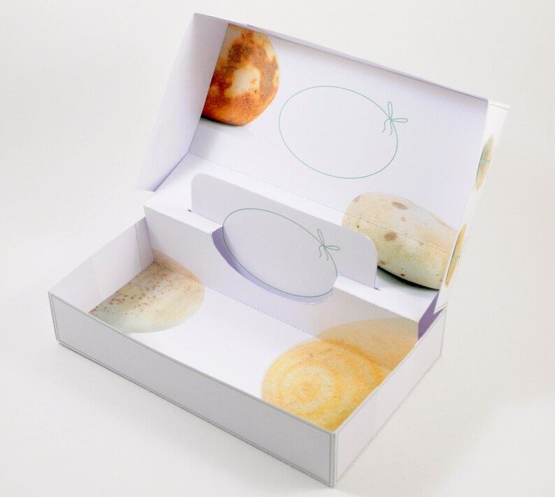 May include: White gift box with a lid open, revealing three round, textured, beige and brown soap bars. The box has a white background with a green ribbon design.