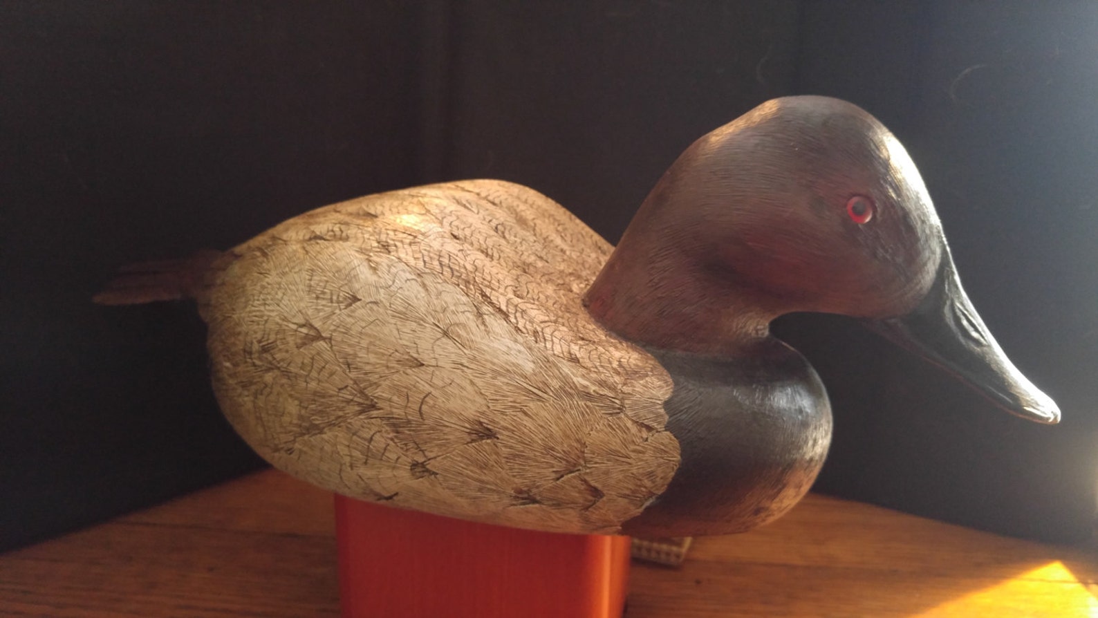 Canvasback Decoy Etsy