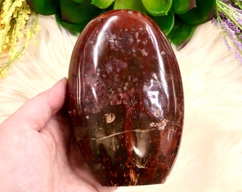 Petrified Wood Freeform 120mm MC - Root Chakra - Third Eye Chakra - Altar Decor - Crystal Grid - Meditation Stone - Grounding Stone