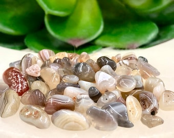 Botswana Agate Chips - Botswana Agate - Root Chakra - Grounding Stone - Loose Crystals - Crystal Grid - Spell Ingredients - Altar Decor