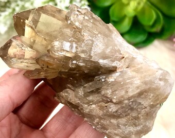 Kundalini Citrine Point 85mm AAQ - Natural Citrine Cluster - Crystal Grid - Altar Decor - Chakra Healing & Balancing Manifestation Stone