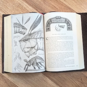 May include: A book open to a page with a pencil drawing of a creature with large eyes and a segmented body. The text on the page reads "Five and a Half Years Ago" and continues with a story about a character named Kaladin.