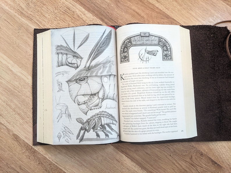 May include: A book open to a page with a pencil drawing of a creature with large eyes and a segmented body. The text on the page reads "Five and a Half Years Ago" and continues with a story about a character named Kaladin.