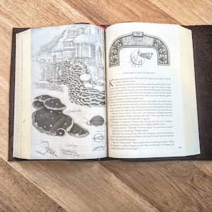 May include: An open book with a black leather cover. The pages are illustrated with black and white drawings of a building, a mushroom, and a crab. The text on the page reads "Five and a Half Years Ago" and "Two and a half years ago when we look at this rock..."