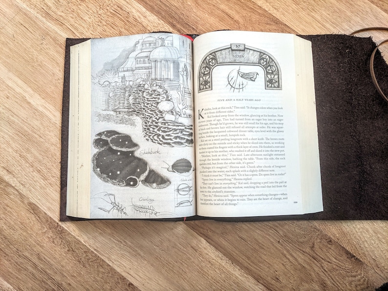May include: An open book with a black leather cover. The pages are illustrated with black and white drawings of a building, a mushroom, and a crab. The text on the page reads "Five and a Half Years Ago" and "Two and a half years ago when we look at this rock..."