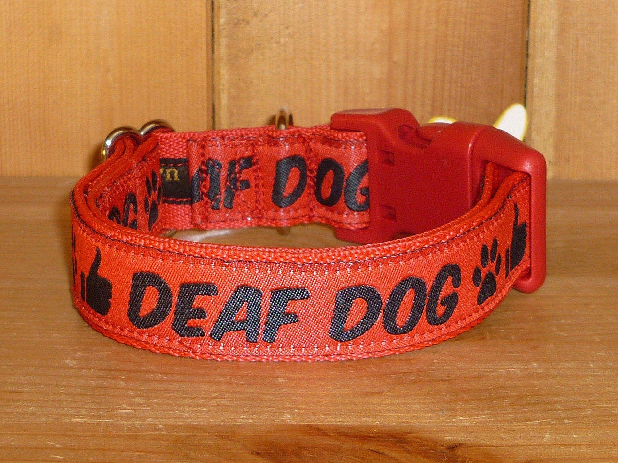 Red Deaf Dog Collar Clip or Buckle Red Small Medium Etsy