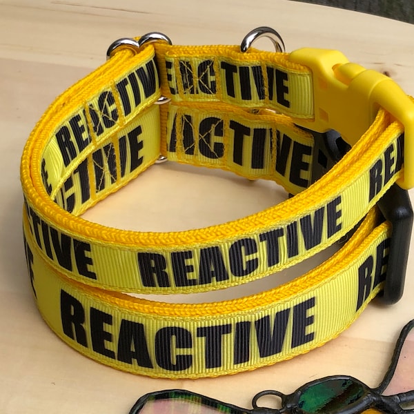 REACTIVE Dog Collar - Flat Collar - Clip Collar - Reactive Dog - Yellow Dog - XSmall - Tiny - Small - Medium - Large - X-Large - Wide - XXL