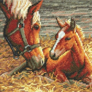 May include: A brown horse with a white blaze on its face looks down at a brown foal lying in a bed of hay.