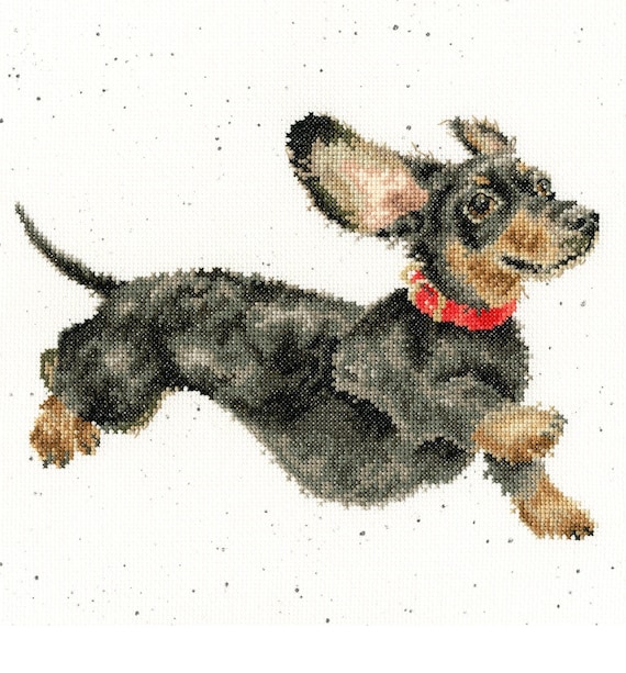 Bothy Threads XHD92 Wrendale Designs Friday Feeling Dachshund Dog Counted  Cross Stitch Kit by Hannah Dale 