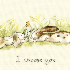 May include: Two brown and white rabbits with long ears are lying in a field of green grass with yellow flowers. The text "I choose you" is written below the rabbits.