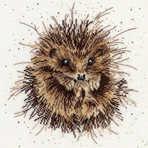 Bothy Threads XHD15 Wrendale Designs Awakening - Hedgehog Cross Stitch Kit by Hannah Dale