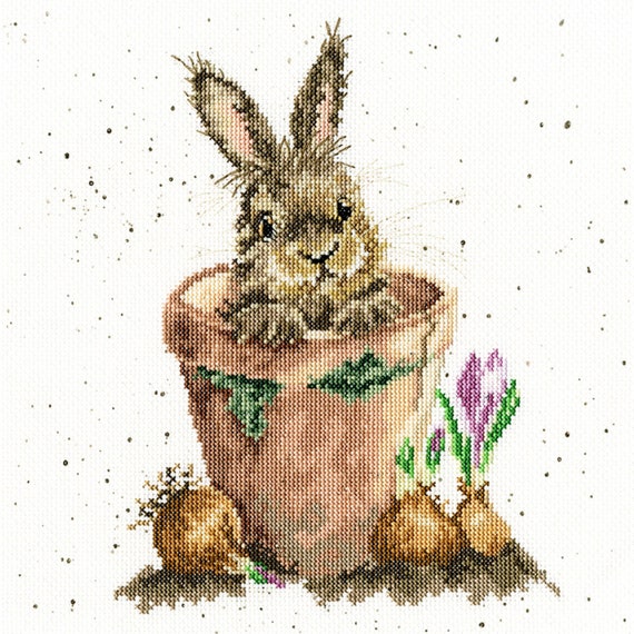 Bothy Threads XHD76 Wrendale Designs The Flower Pot Cross Stitch Kit by  Hannah Dale