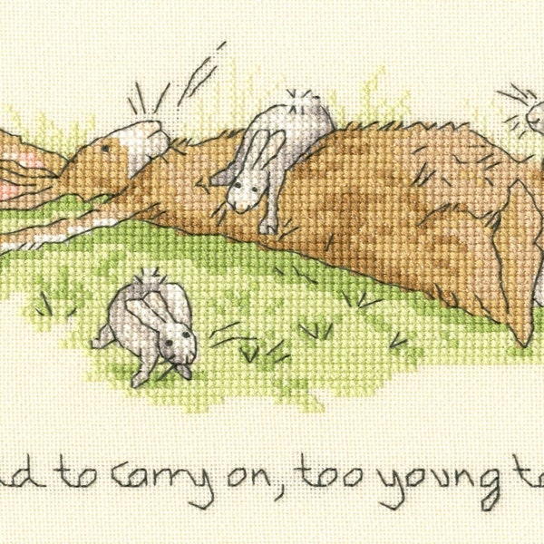 Bothy Threads XAJ21 Too Young to Stop - Bunny Counted Cross Stitch Kit by Anita Jeram