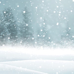 May include: A snowy winter scene with a forest of evergreen trees in the background. The snow is falling softly and the ground is covered in a thick layer of white snow.
