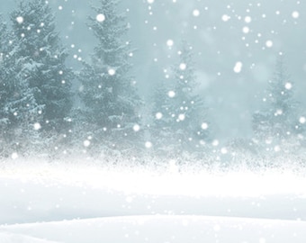 Puede incluir: Una escena de invierno nevada con un bosque de árboles de hoja perenne en el fondo. La nieve cae suavemente y el suelo está cubierto de una gruesa capa de nieve blanca.