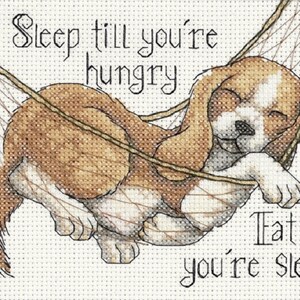 May include: A brown and white puppy dog is sleeping in a hammock. The dog is curled up and has its eyes closed. The hammock is made of brown rope and is hanging from two hooks. The text "Sleep till you're hungry Eat till you're sleepy" is written in black on a white background.