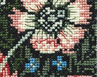 DMC BL1174/77 いちご泥棒 ウィリアム・モリス作 - V & A クロス