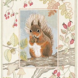Bothy Threads Derwentwater Designs Wildlife: Red Squirrel Counted Cross Stitch Kit by Rose Swalwell