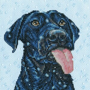May include: A black Labrador Retriever dog with its tongue sticking out, looking up and to the right. The dog is in a snowy setting.