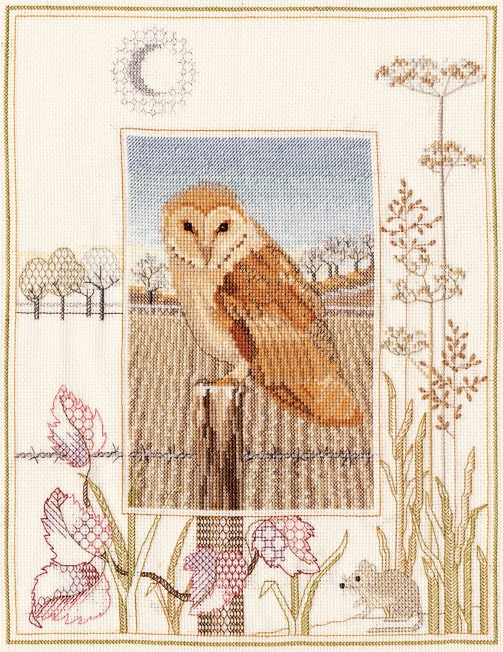 Bothy Threads Derwentwater Designs Wildlife: Barn Owl Counted Cross Stitch Kit by Rose Swalwell